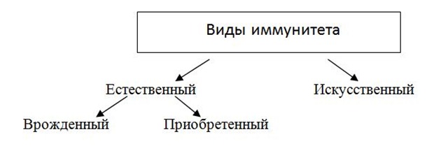 виды иммунитета ребенка