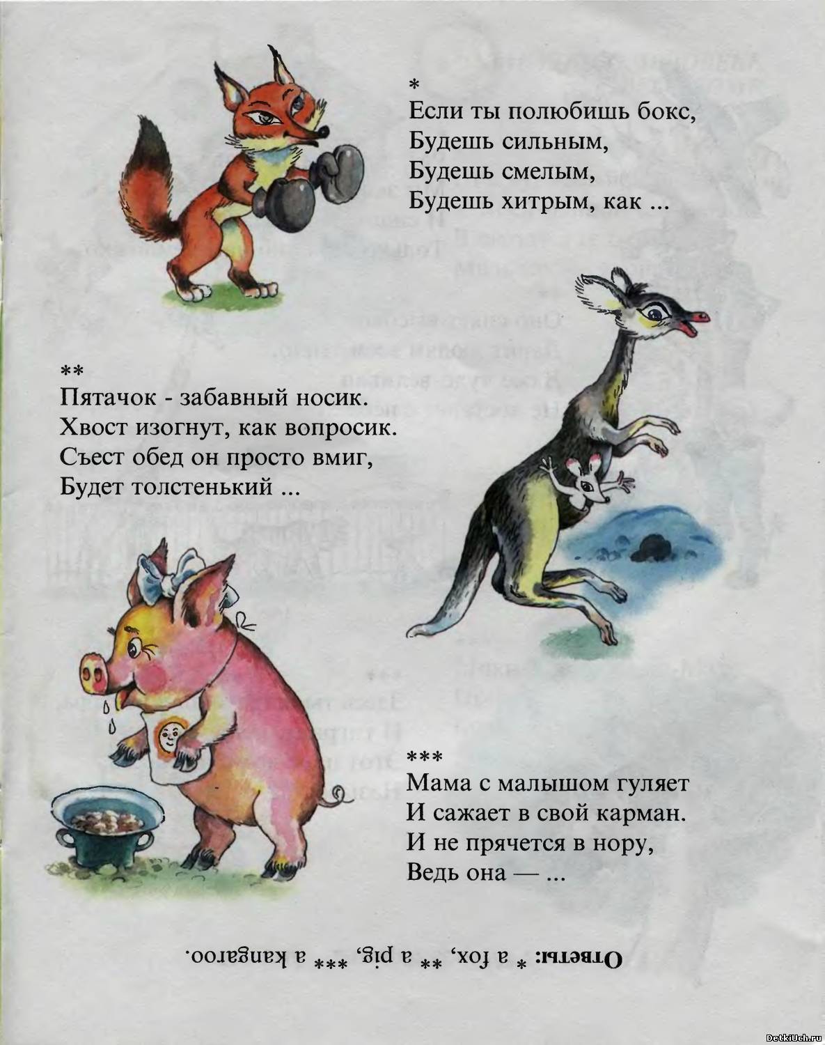 Загадка про тую